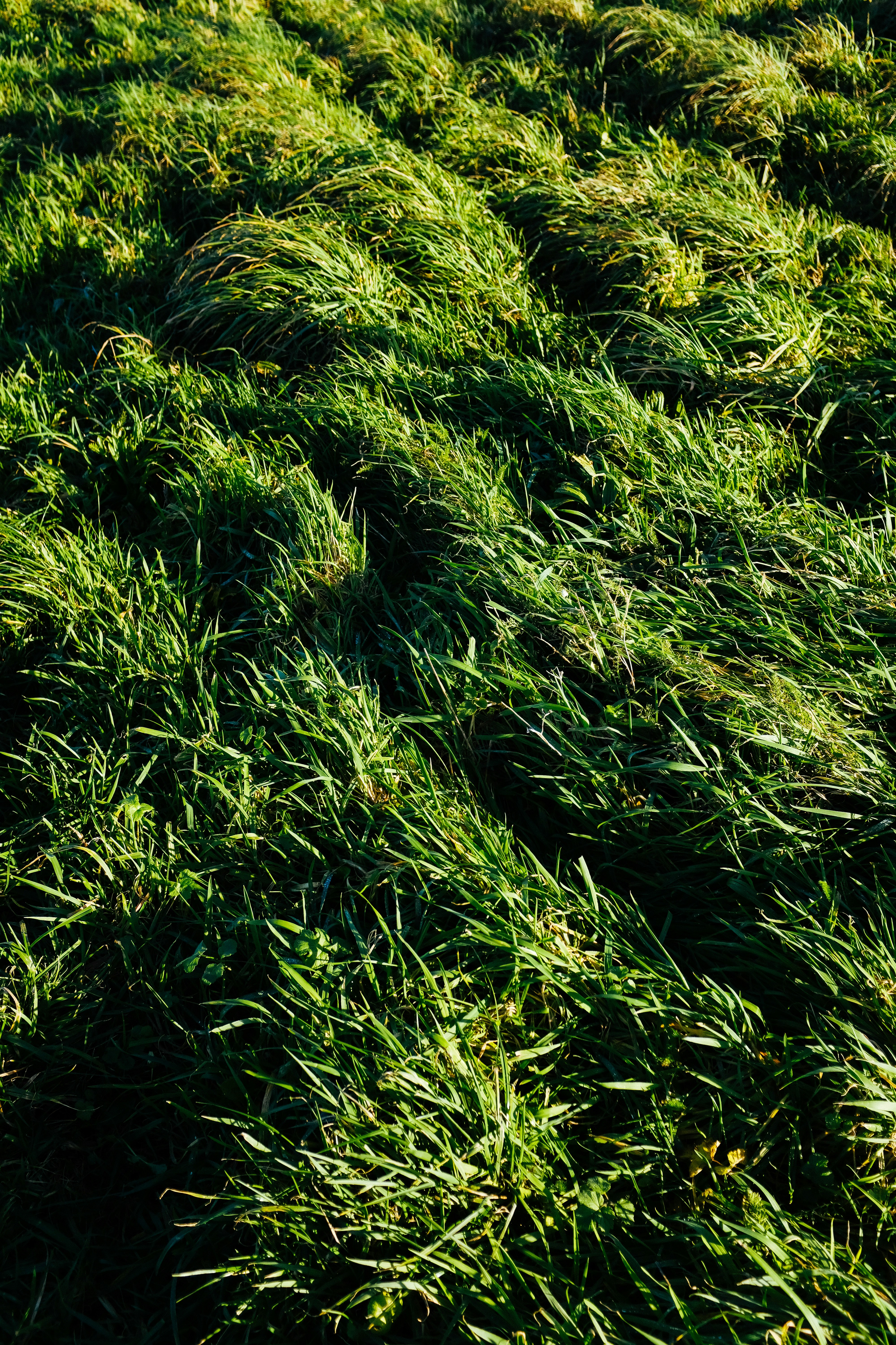 Photo by adrienolichon