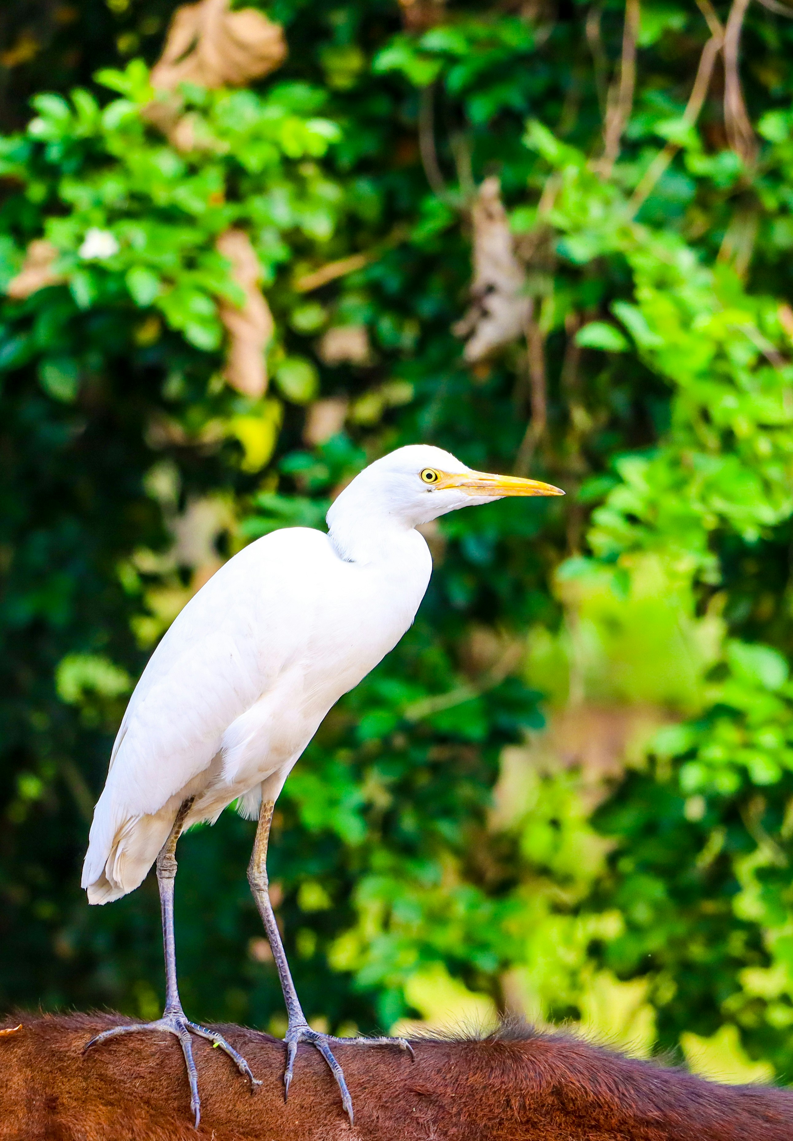 Photo by soonamwooeser