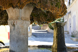 Wide shot of a cement chafariz with water gently flowing, surrounded by greenery