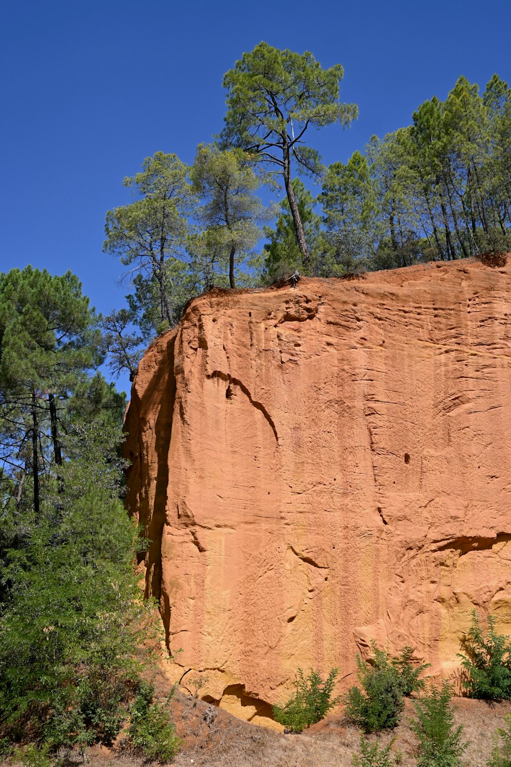 a large rock with trees on top of it