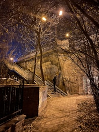A dimly lit pathway leads up to a stone structure covered in graffiti. Bare trees with sparse leaves frame the scene. Warm streetlights overhead cast a yellow glow, contrasting with the dark blue night sky. A person stands on the steps, adding an element of mystery.