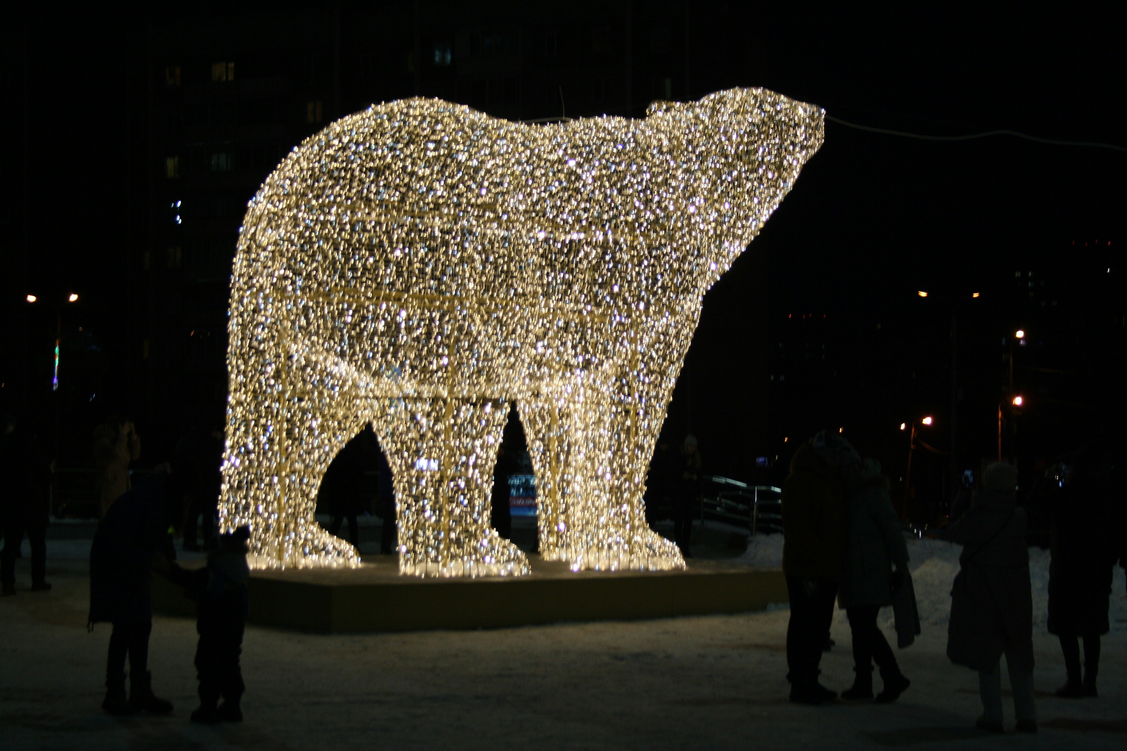 Understanding the Polar Night: Six Months of Darkness