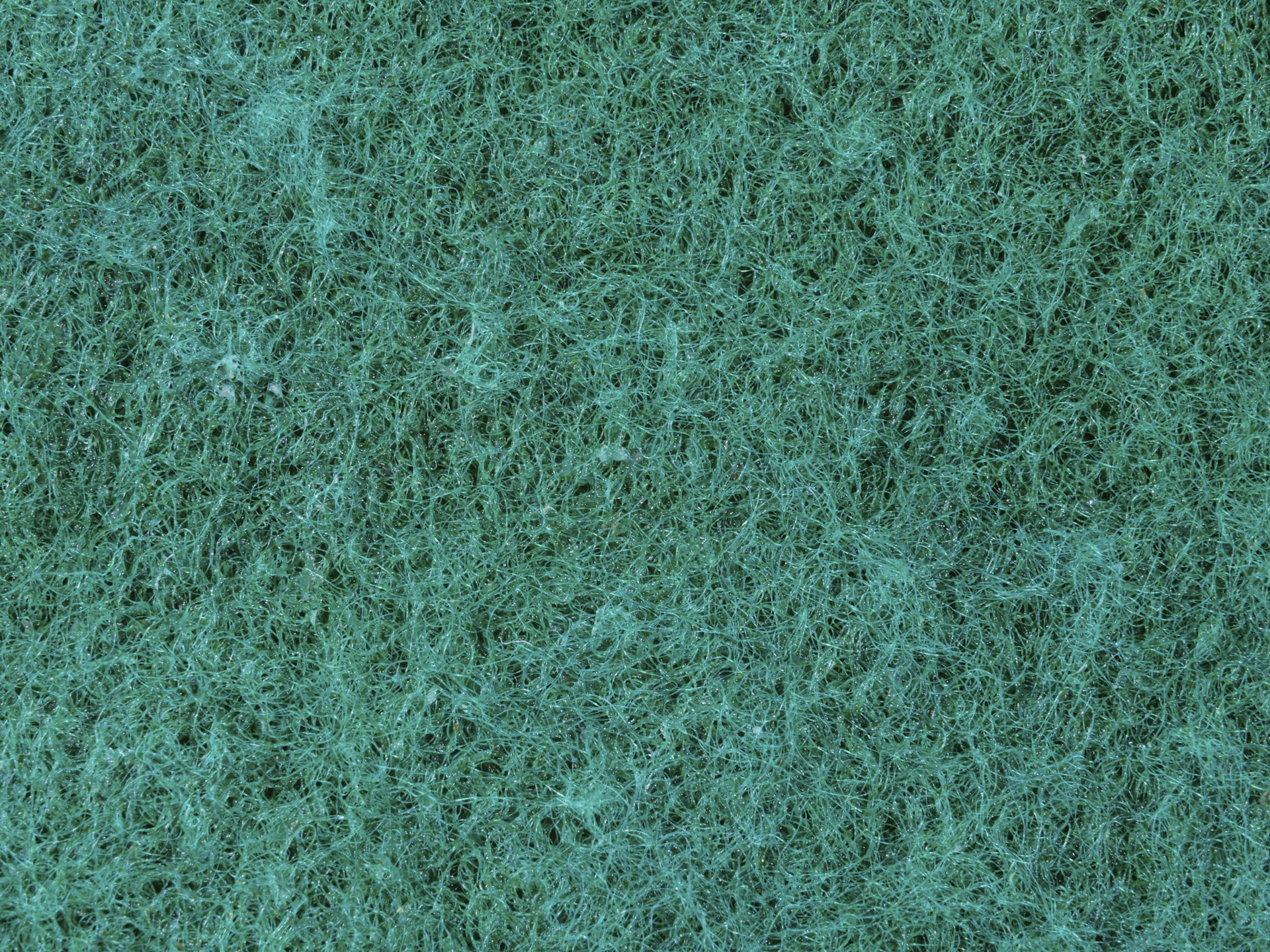 a close up view of a green surface