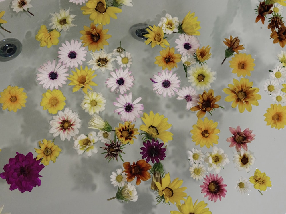 a group of flowers floating in a pool of water