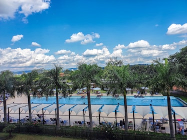 A large outdoor swimming pool is surrounded by tall palm trees. There are people lounging on deck chairs and a few individuals in the pool. White sunshades line the poolside area. The sky is bright blue with scattered white clouds.