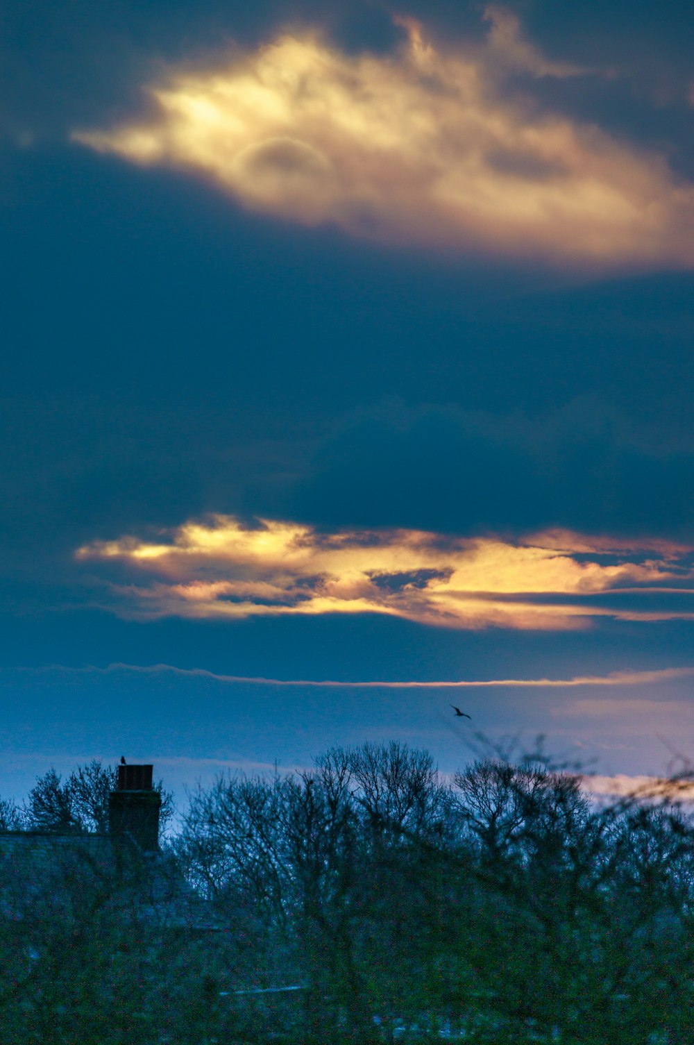 a bird flying in the sky with a building in the background