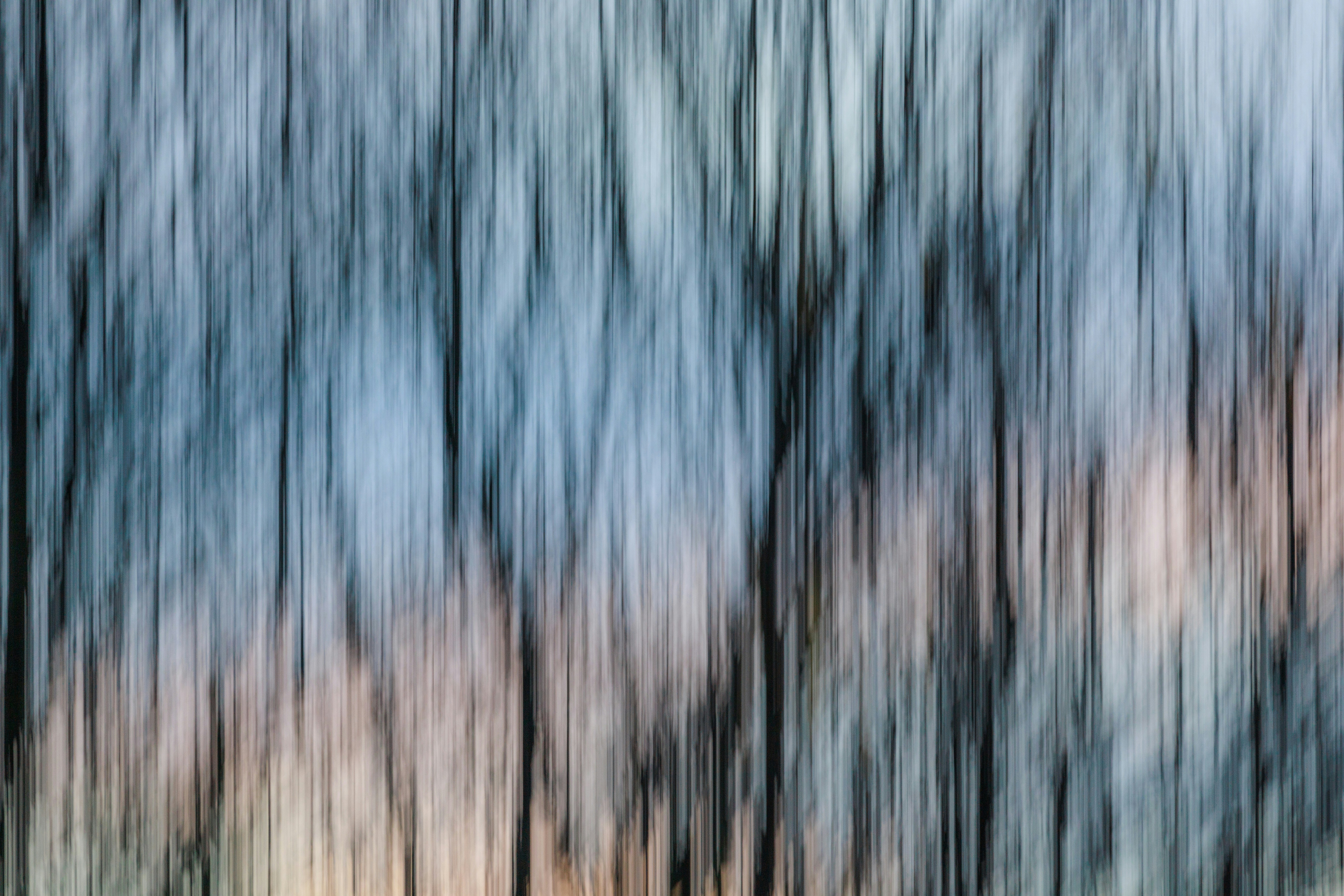 Photo by grievek1610begur