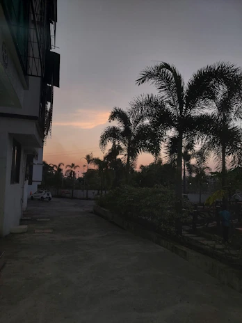 A clean, well-maintained driveway leading up to a luxury villa at sunset.