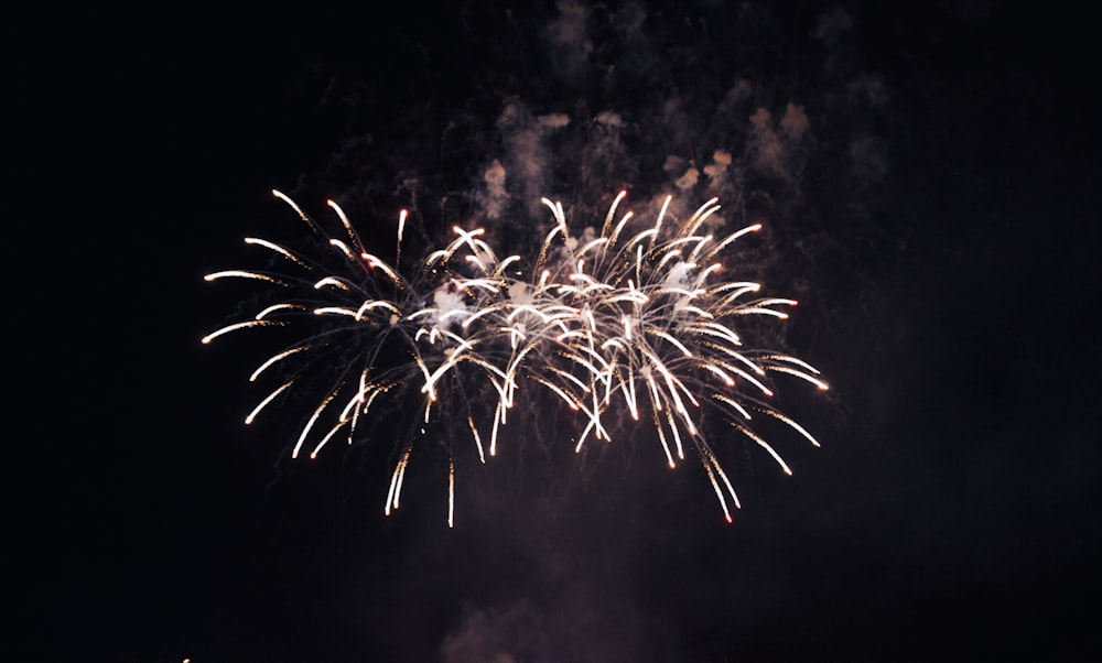 a large fireworks is lit up in the night sky