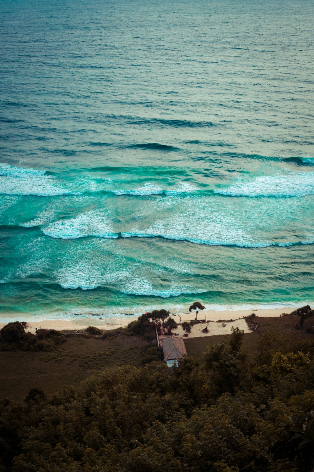 a view of the ocean from a hill