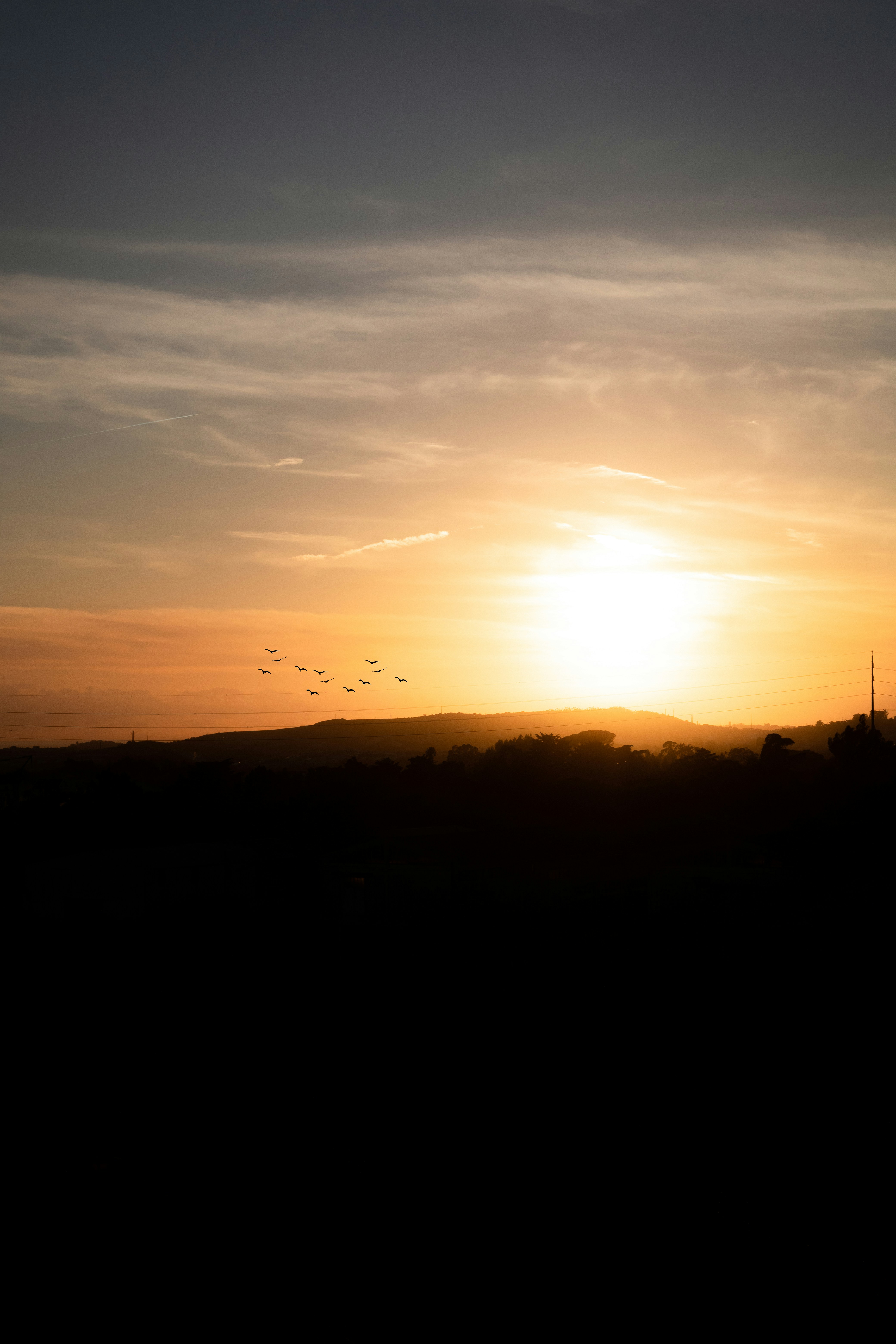 Photo by dann_rosado