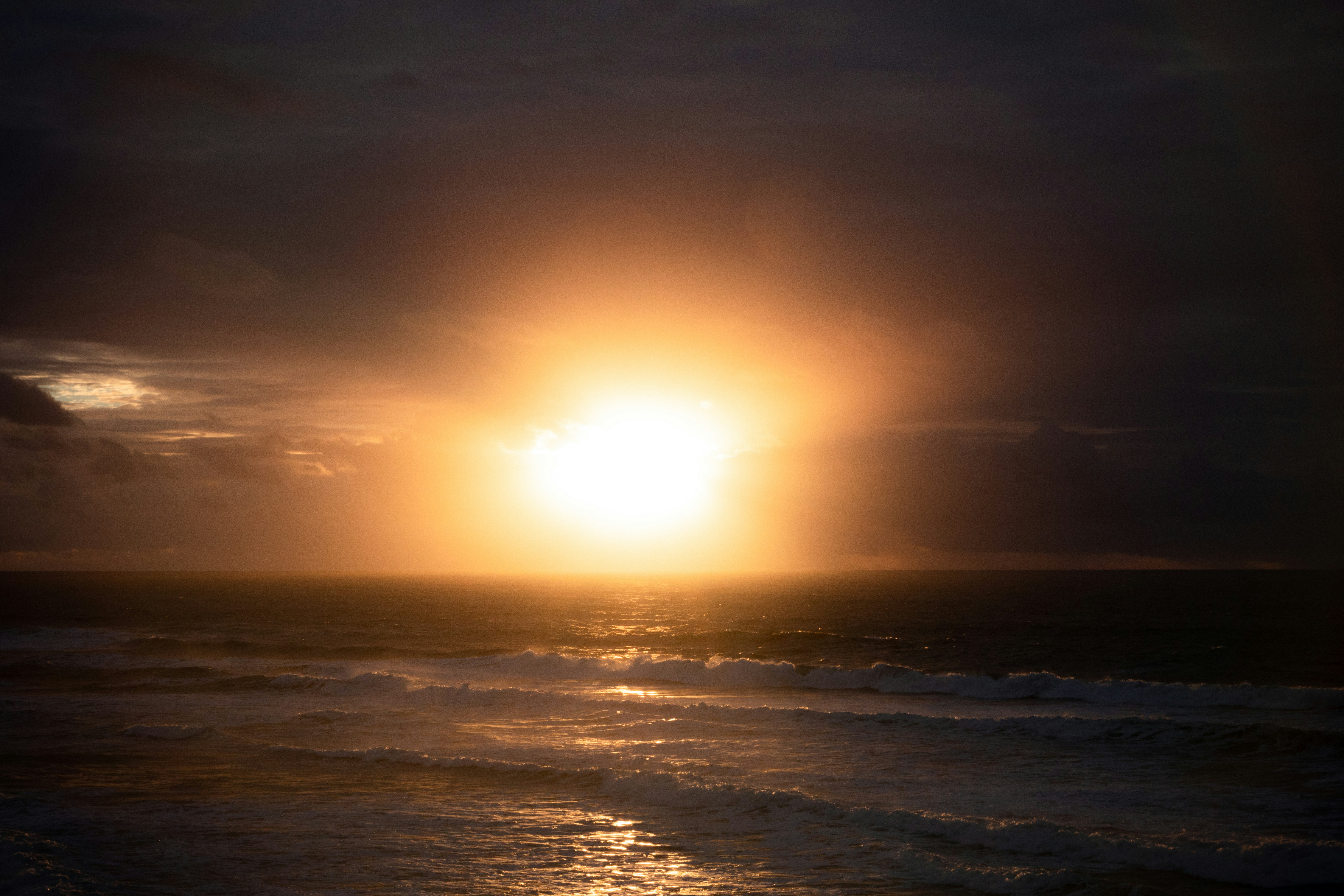 Photo by dann_rosado