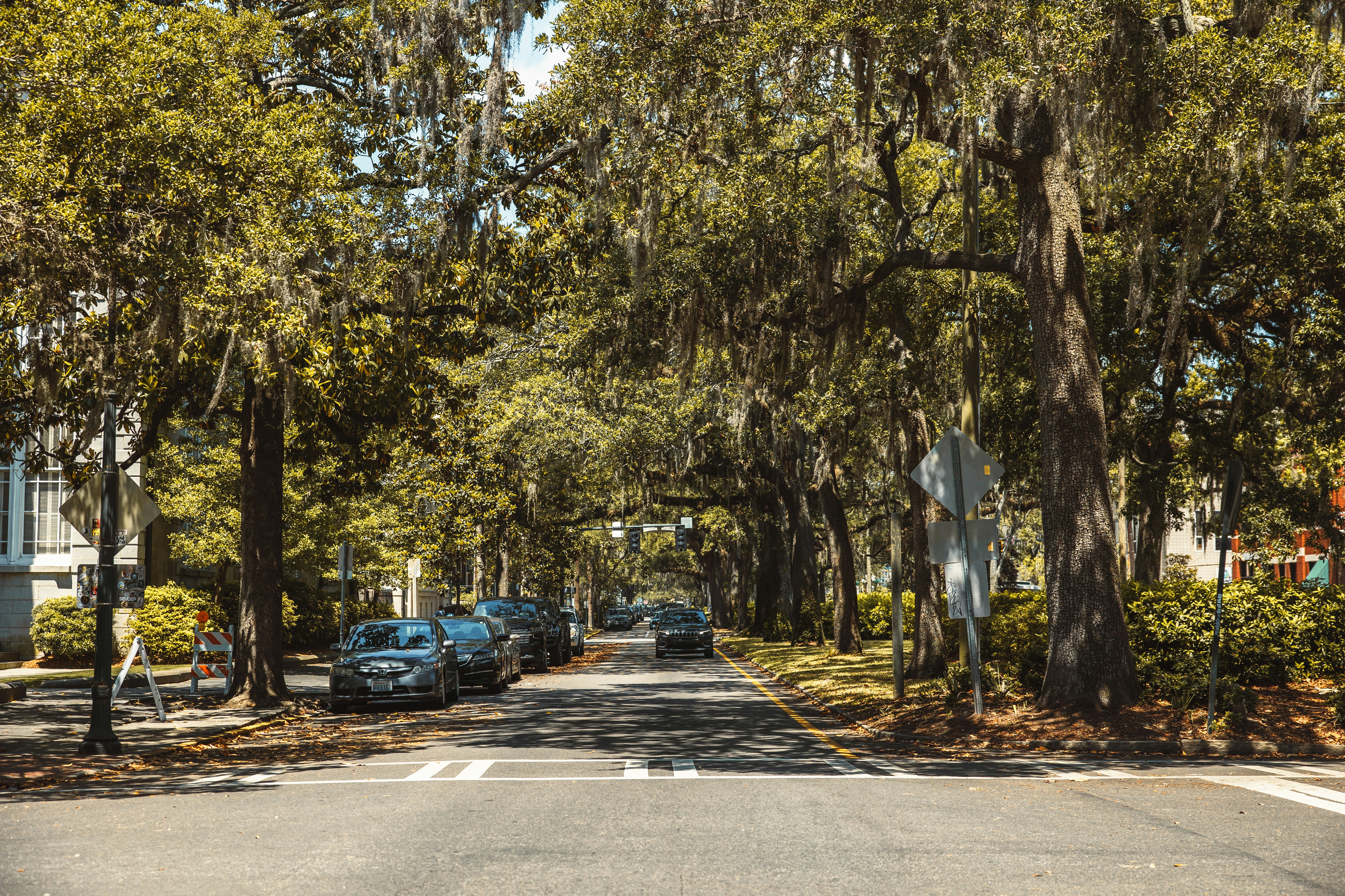 a street lined with trees and parked cars, 