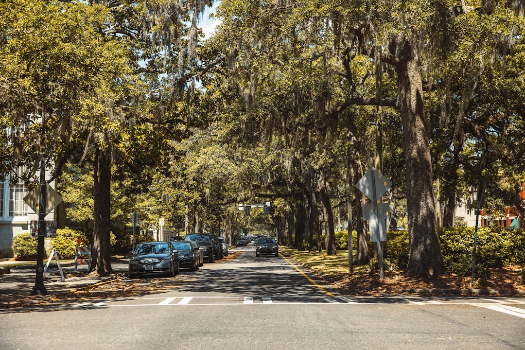 a street lined with trees and parked cars,