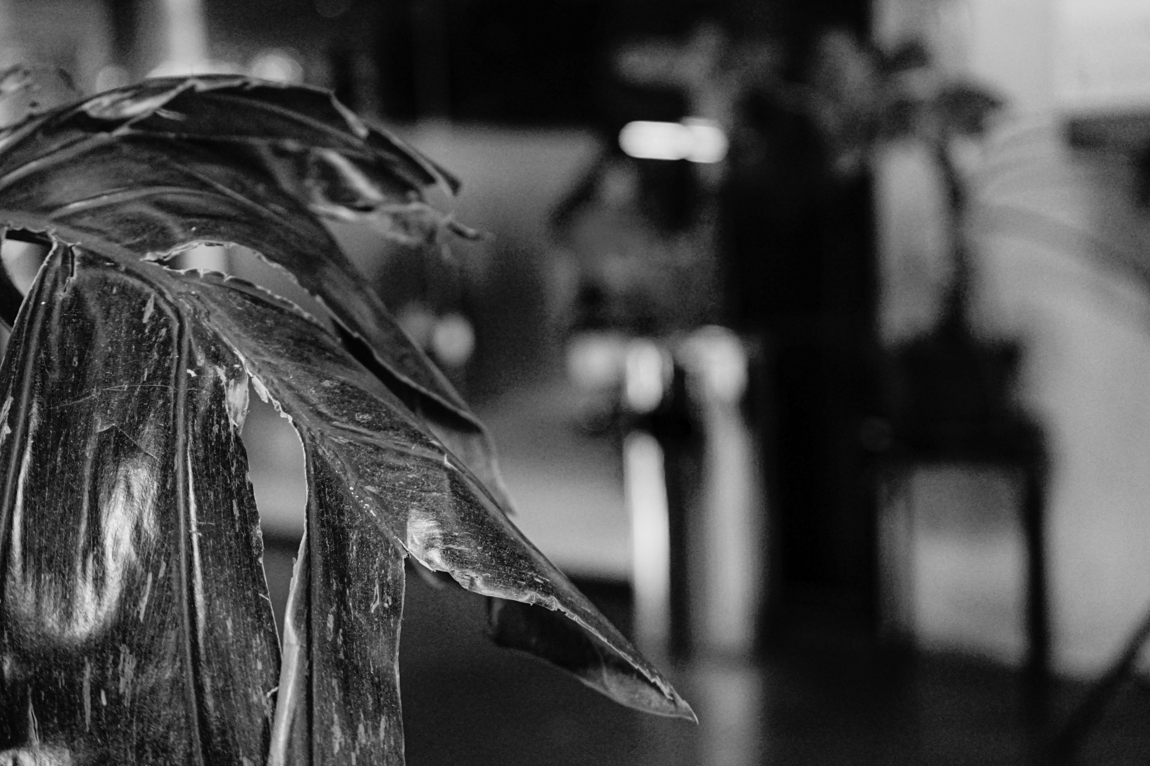 Photo by jason_tirta