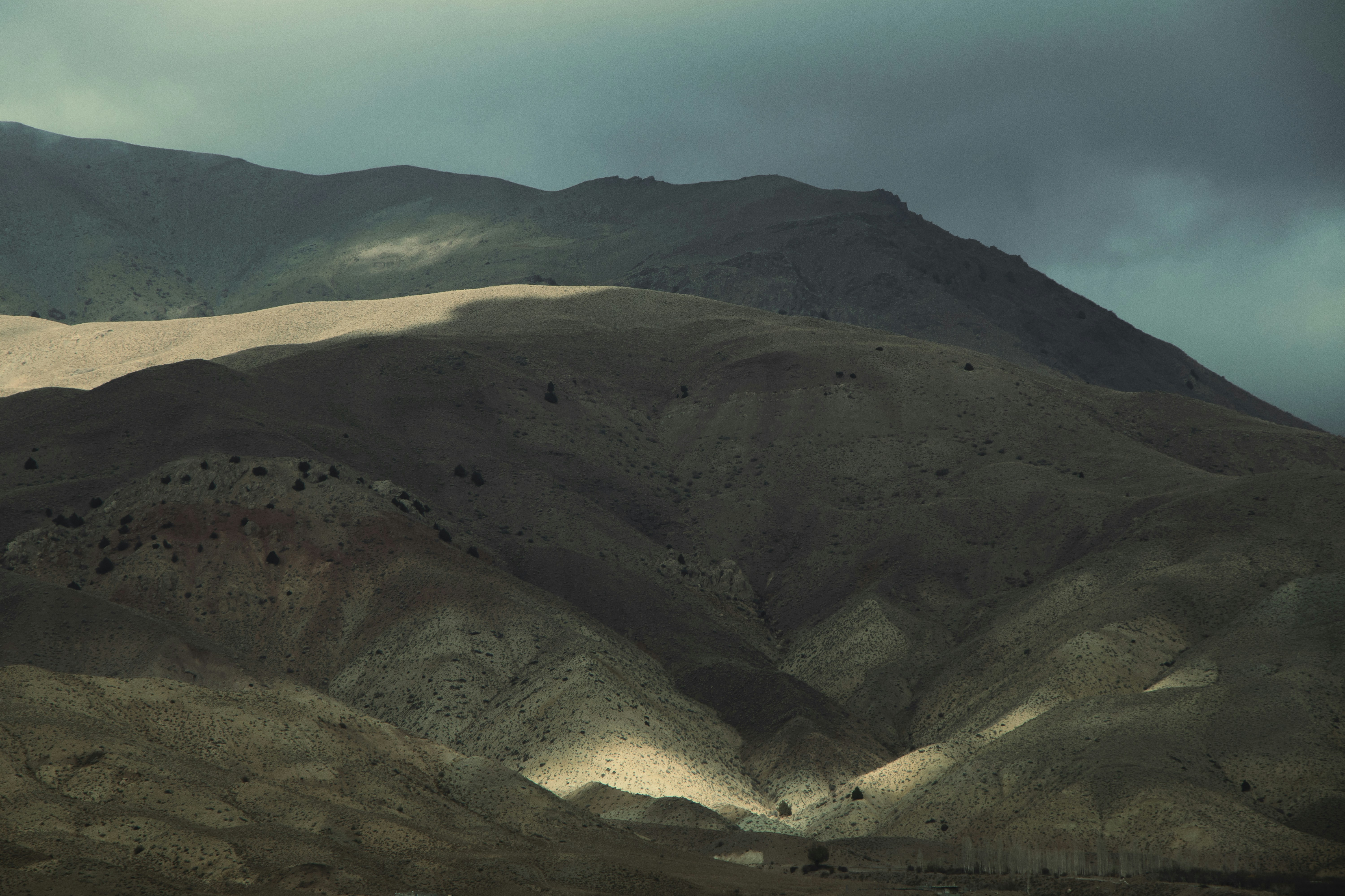 Photo by mahdibafande