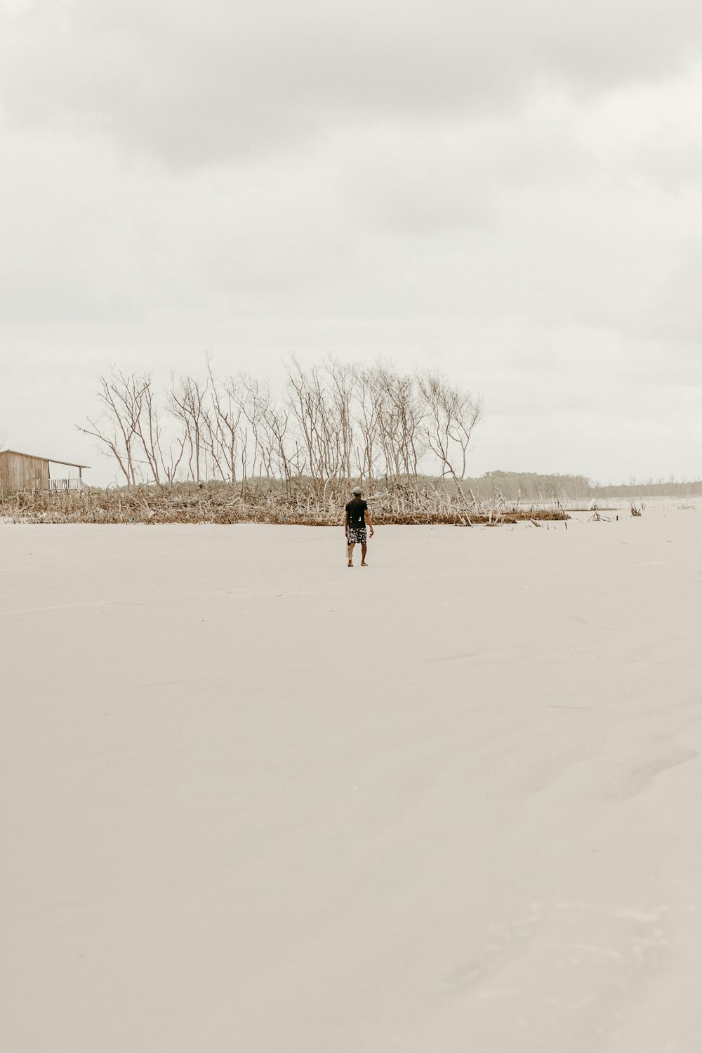 a person standing in the middle of a sandy field