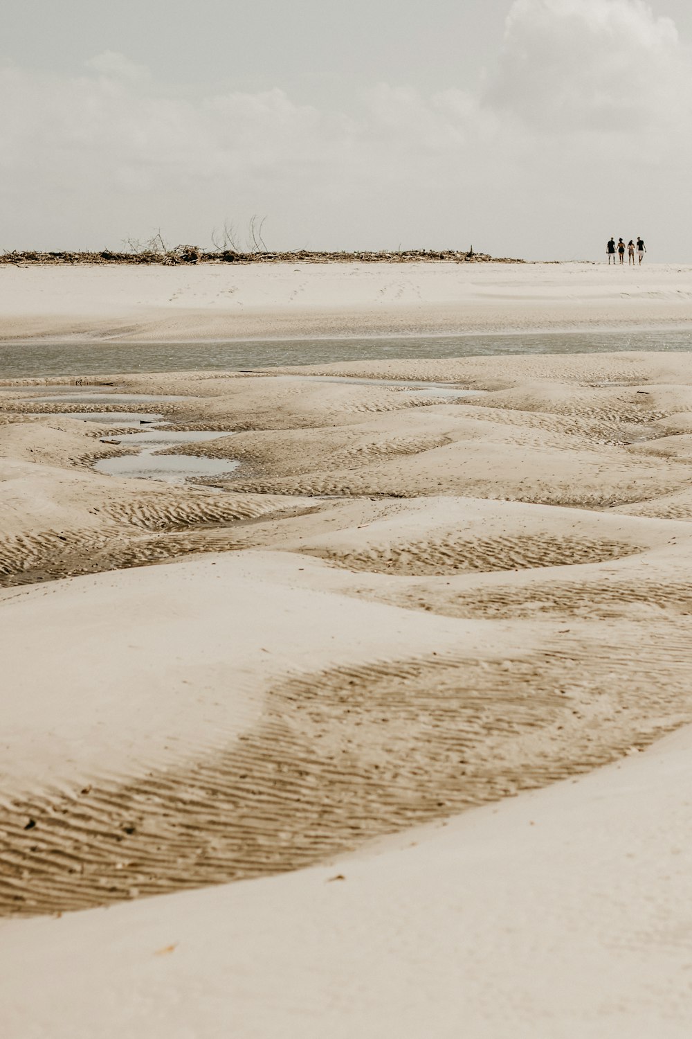 a group of people standing on top of a sandy beach