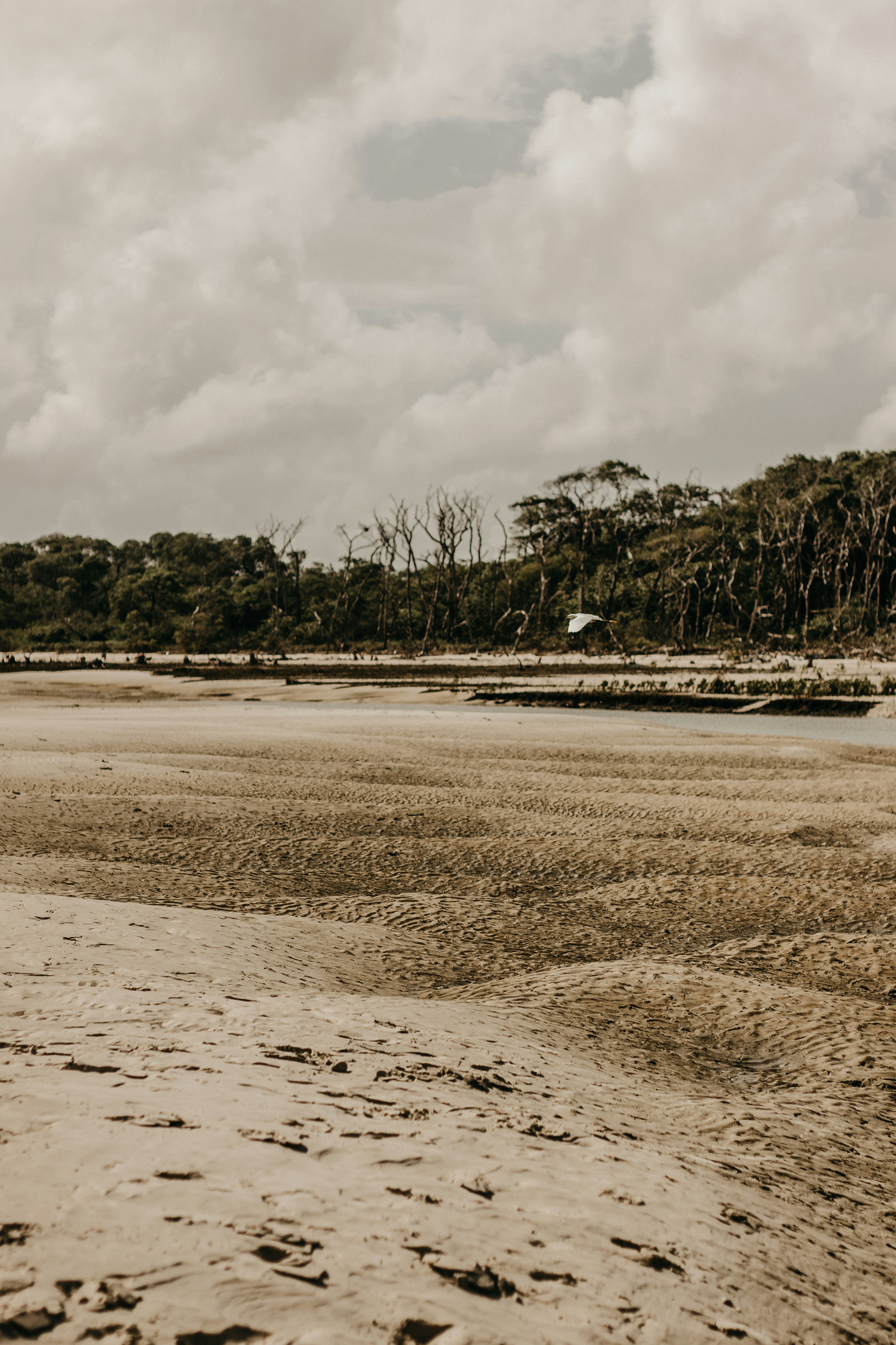 Photo by kawerodriguess