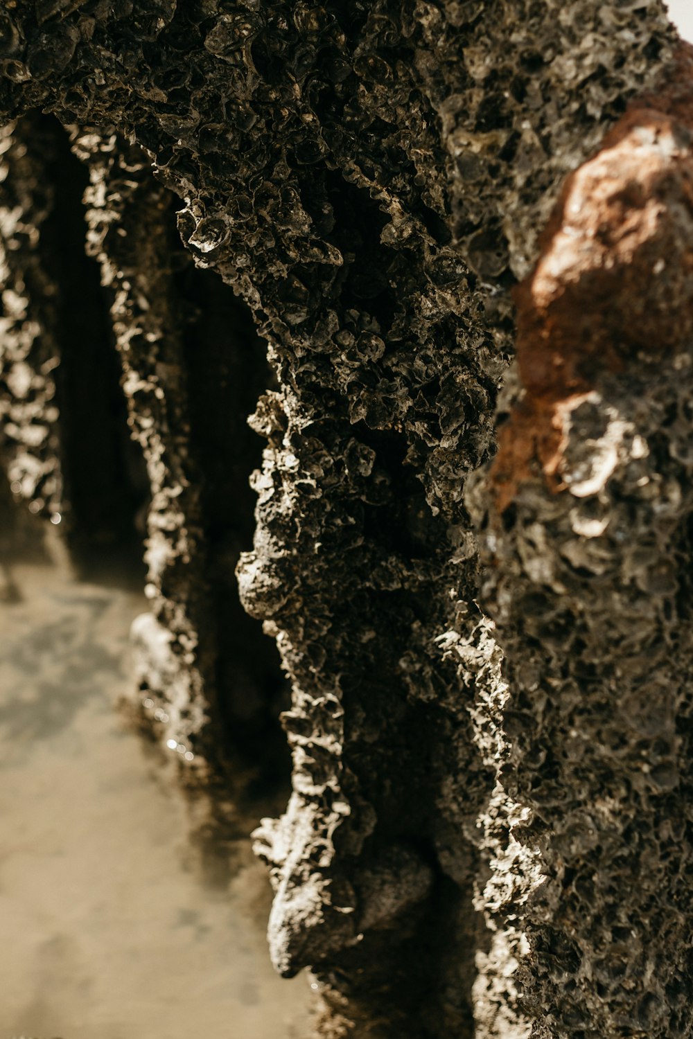 a close up of the bark of a tree