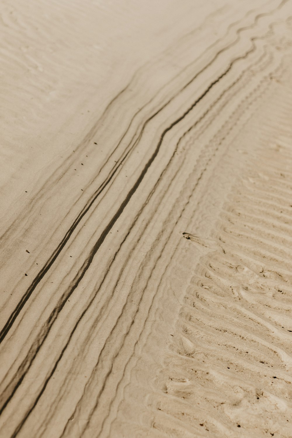 a person riding a surfboard on top of a sandy beach