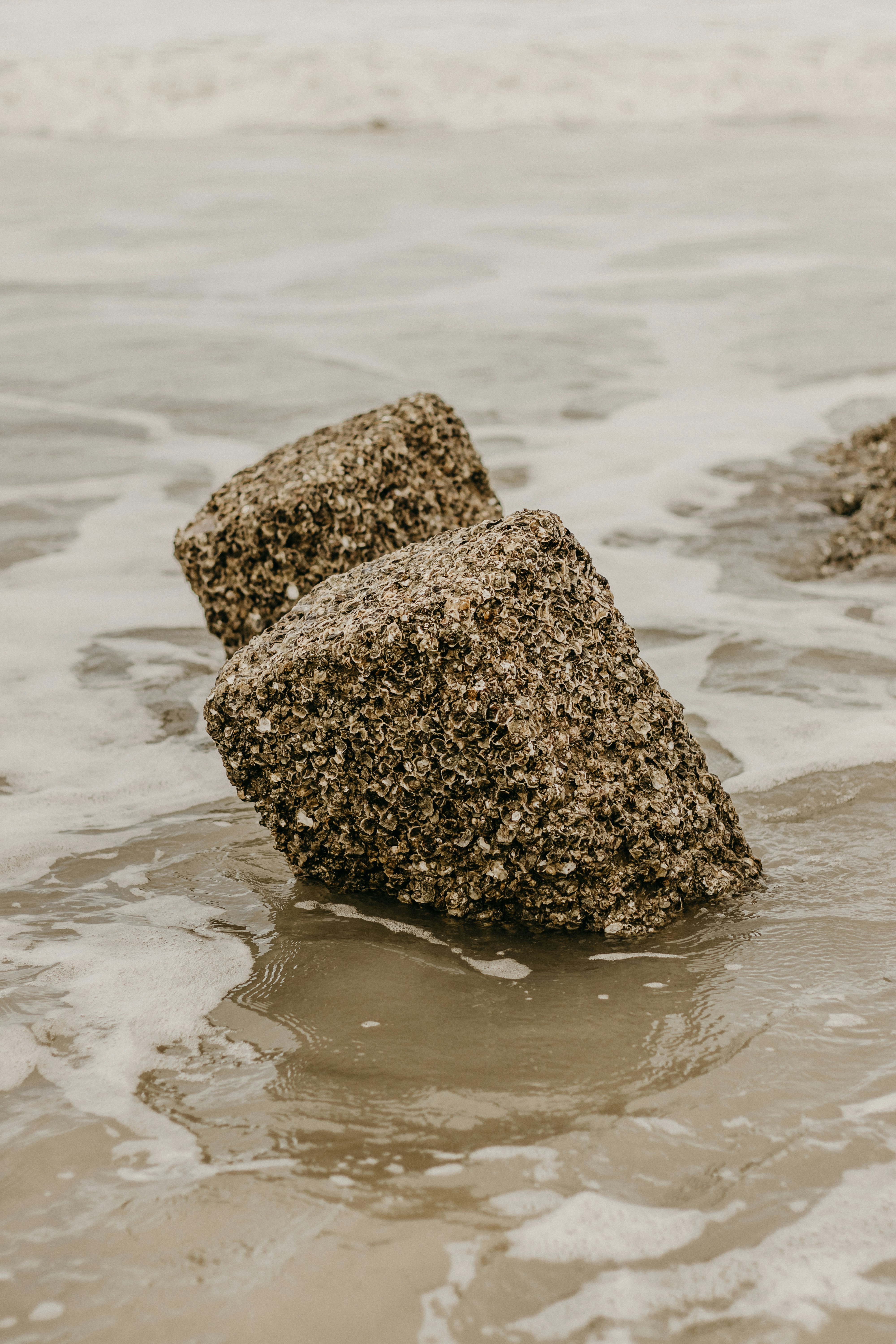 Photo by kawerodriguess