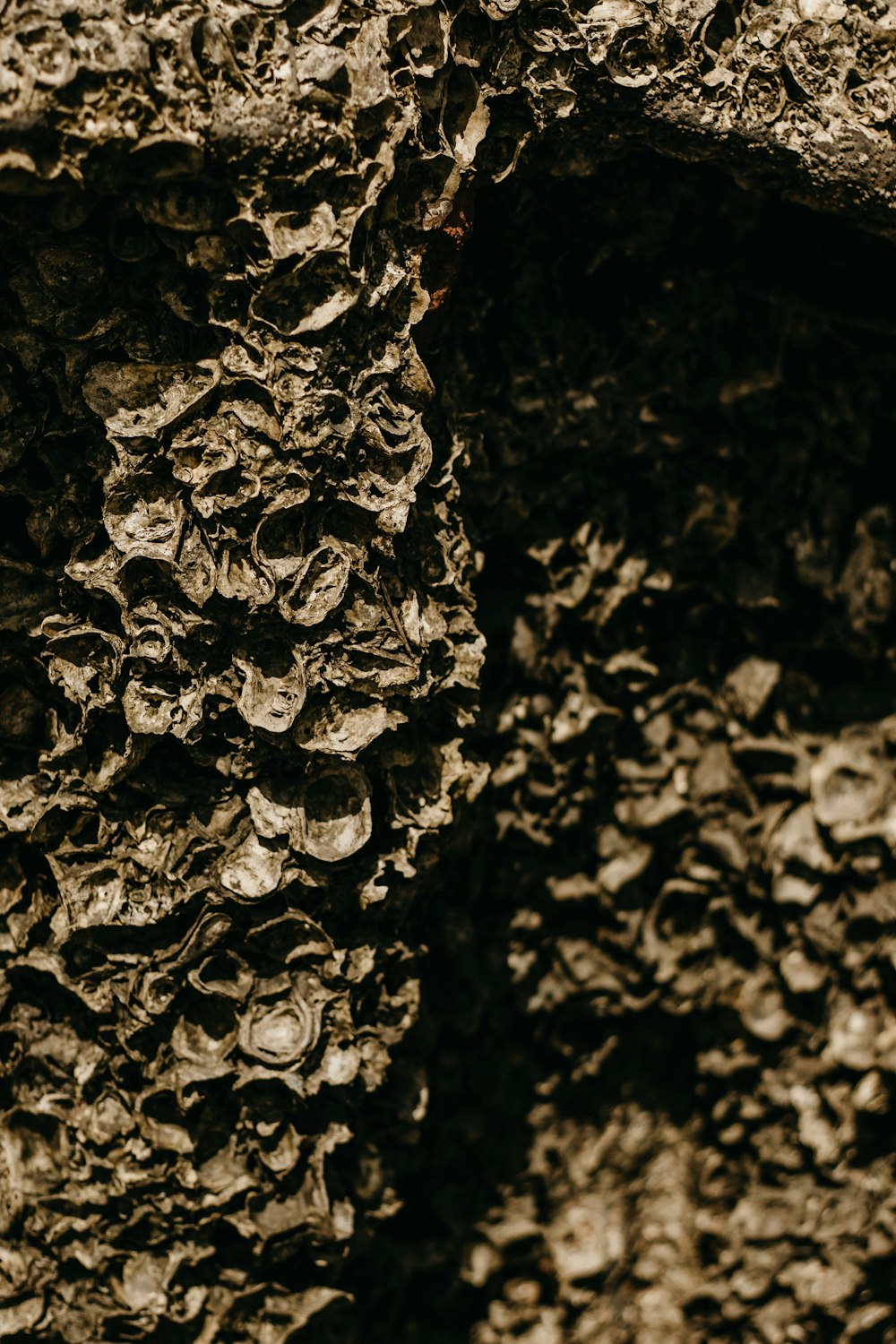 a close up of a rock wall with a bunch of rocks on it