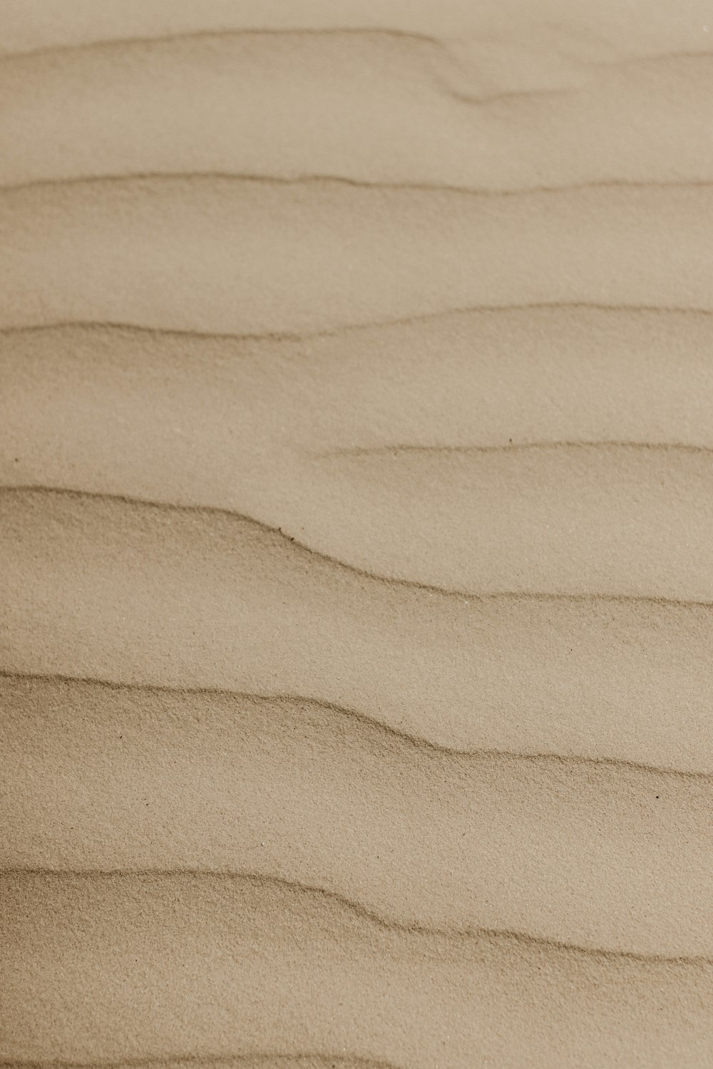 a close up of a sand dune with wavy lines