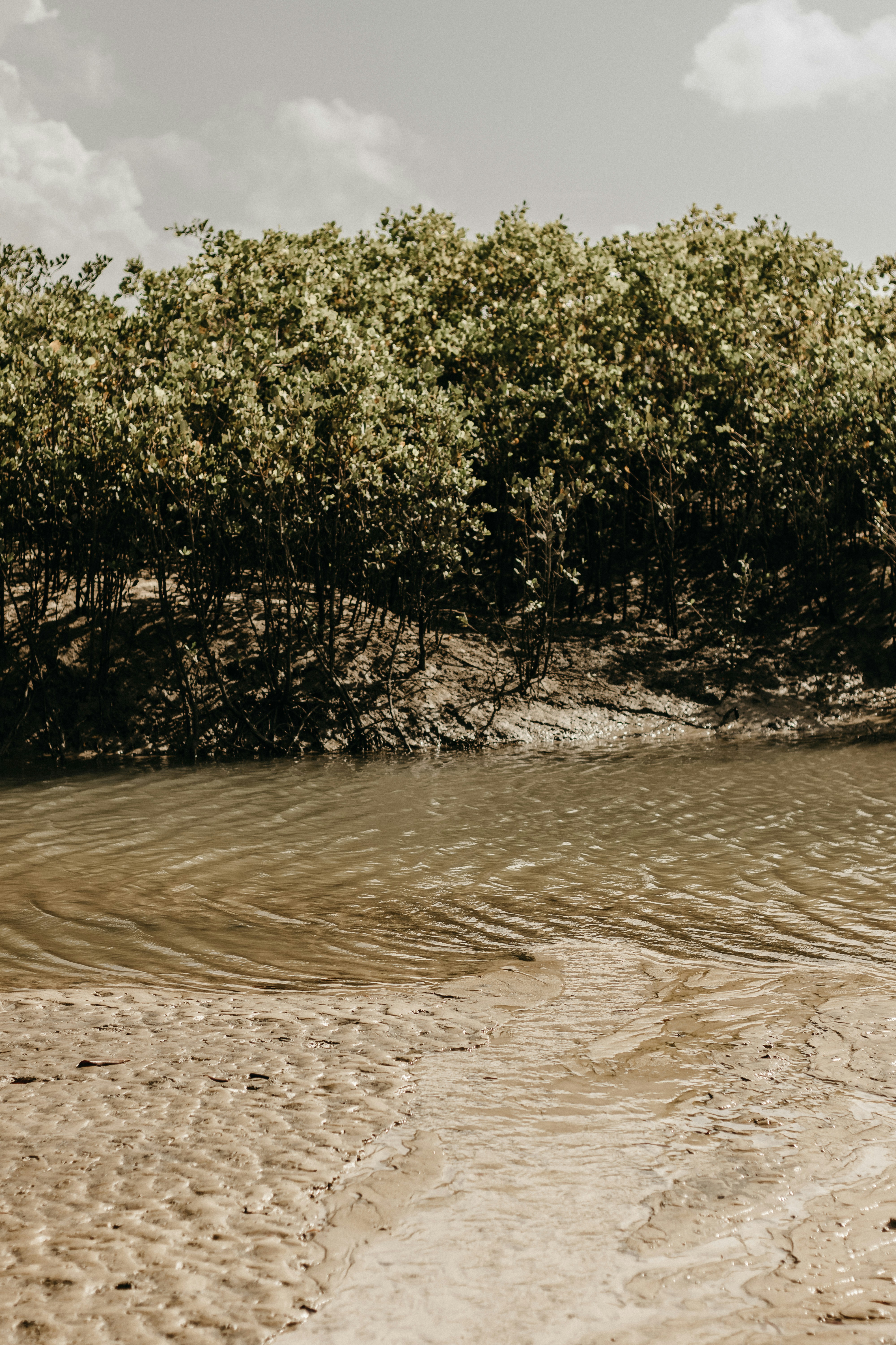 Photo by kawerodriguess