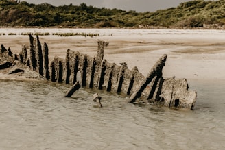 Underwater archaeologists carefully recovering ancient artifacts from a 17th-century shipwreck near a sandy beach.