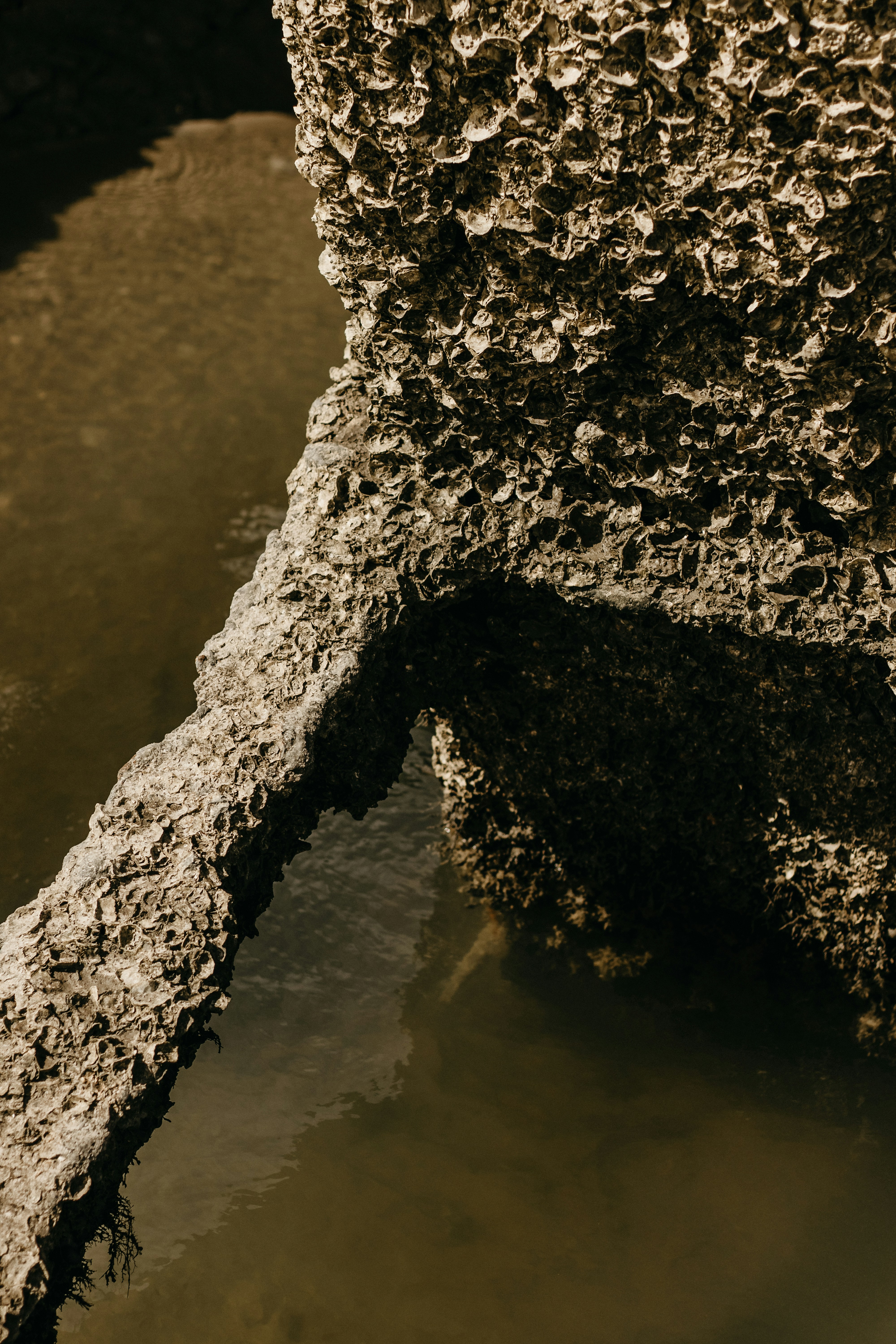 Photo by kawerodriguess