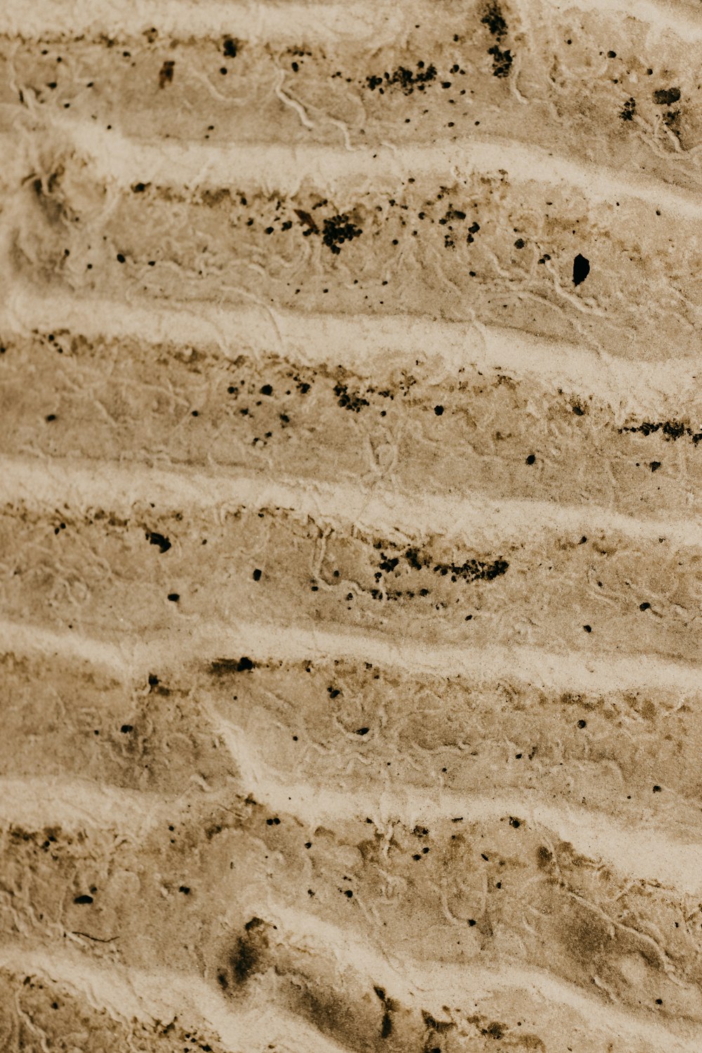 a black and white photo of sand and water