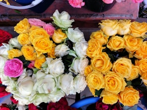 flores al por mayor armenia