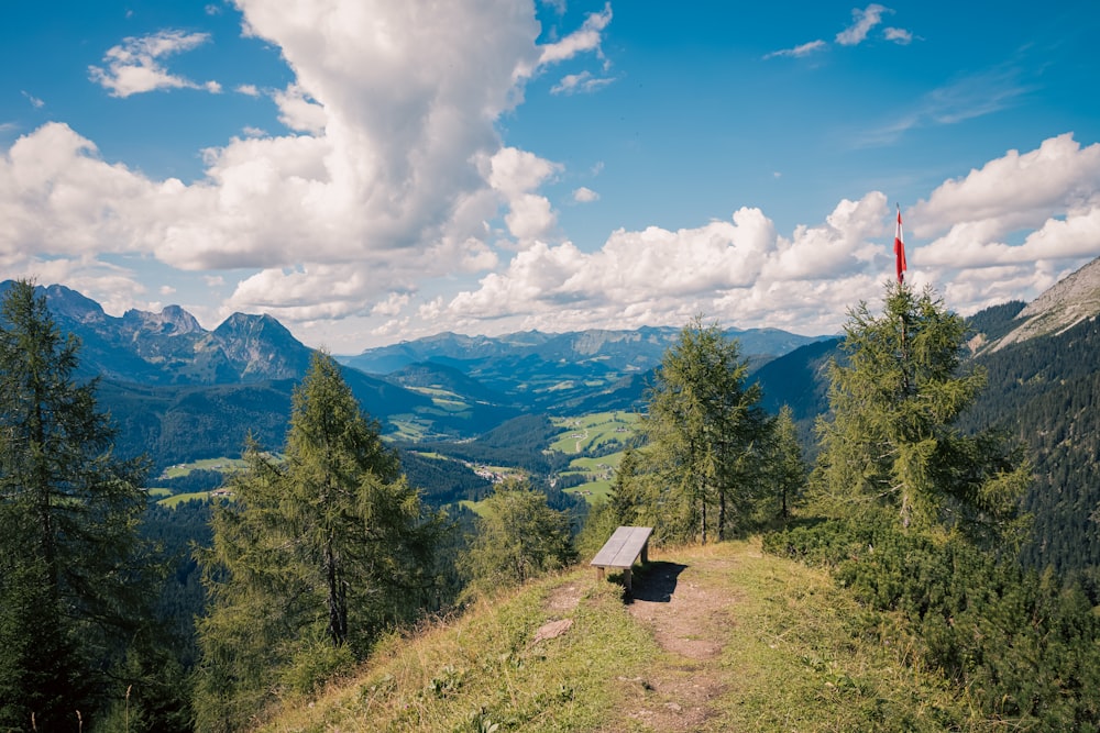 a bench sitting on top of a lush green hillside