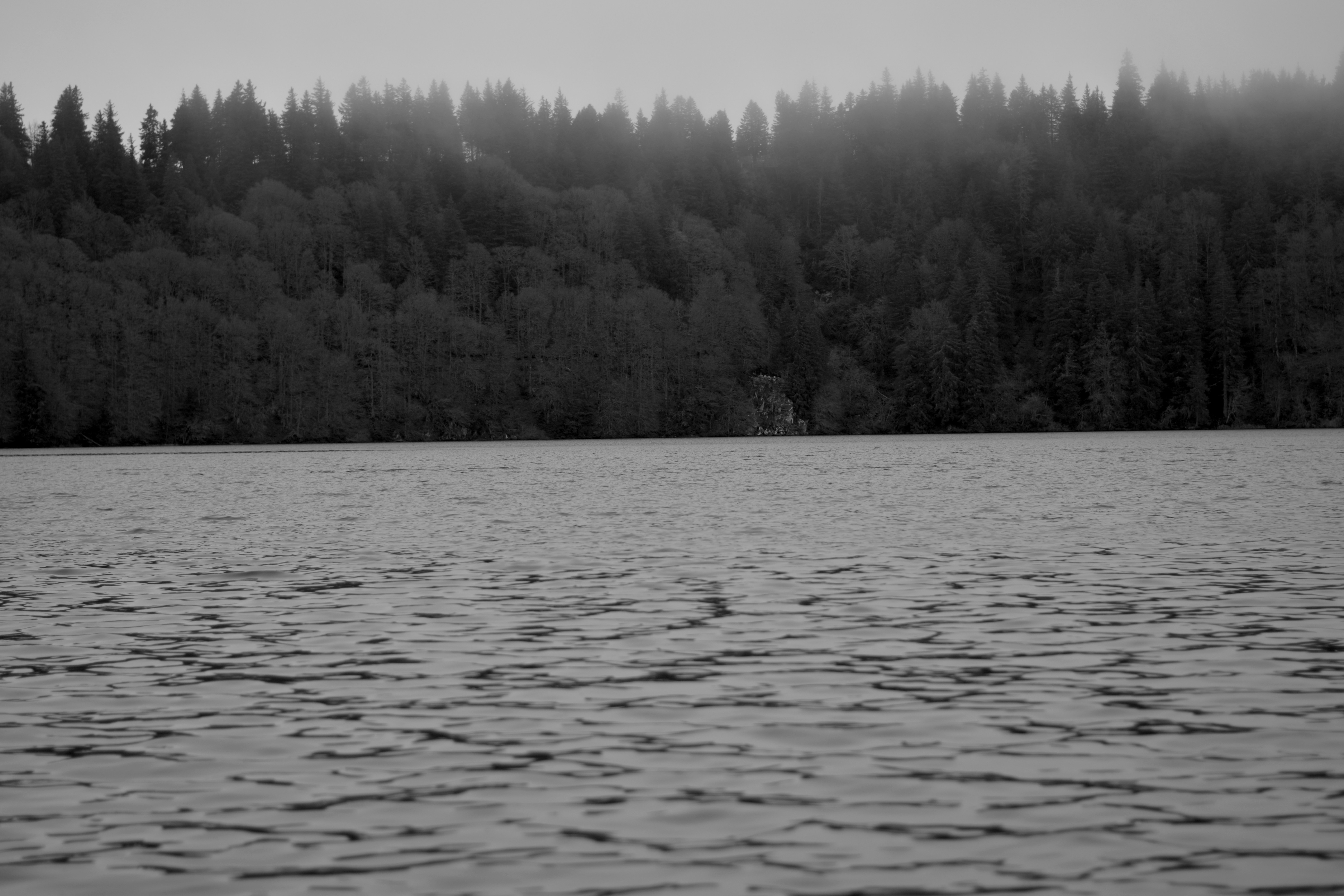 a large body of water with trees in the background