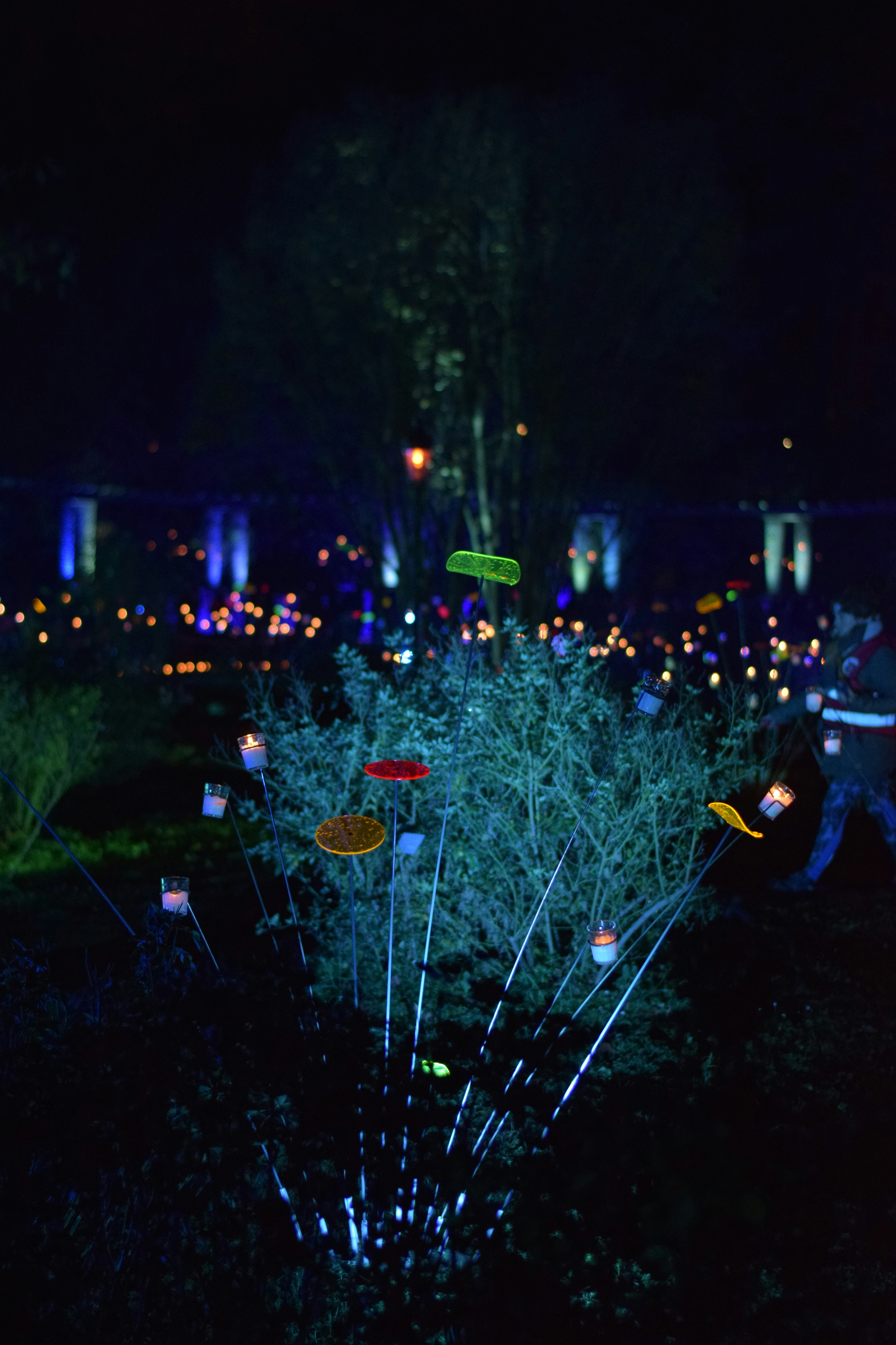 Rustic Solar Garden Stakes