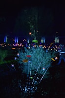 Outdoor solar stake lights illuminating a garden path under the stars.