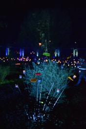 Solar-powered LED garden stakes glowing softly among blooming flowers at dusk.