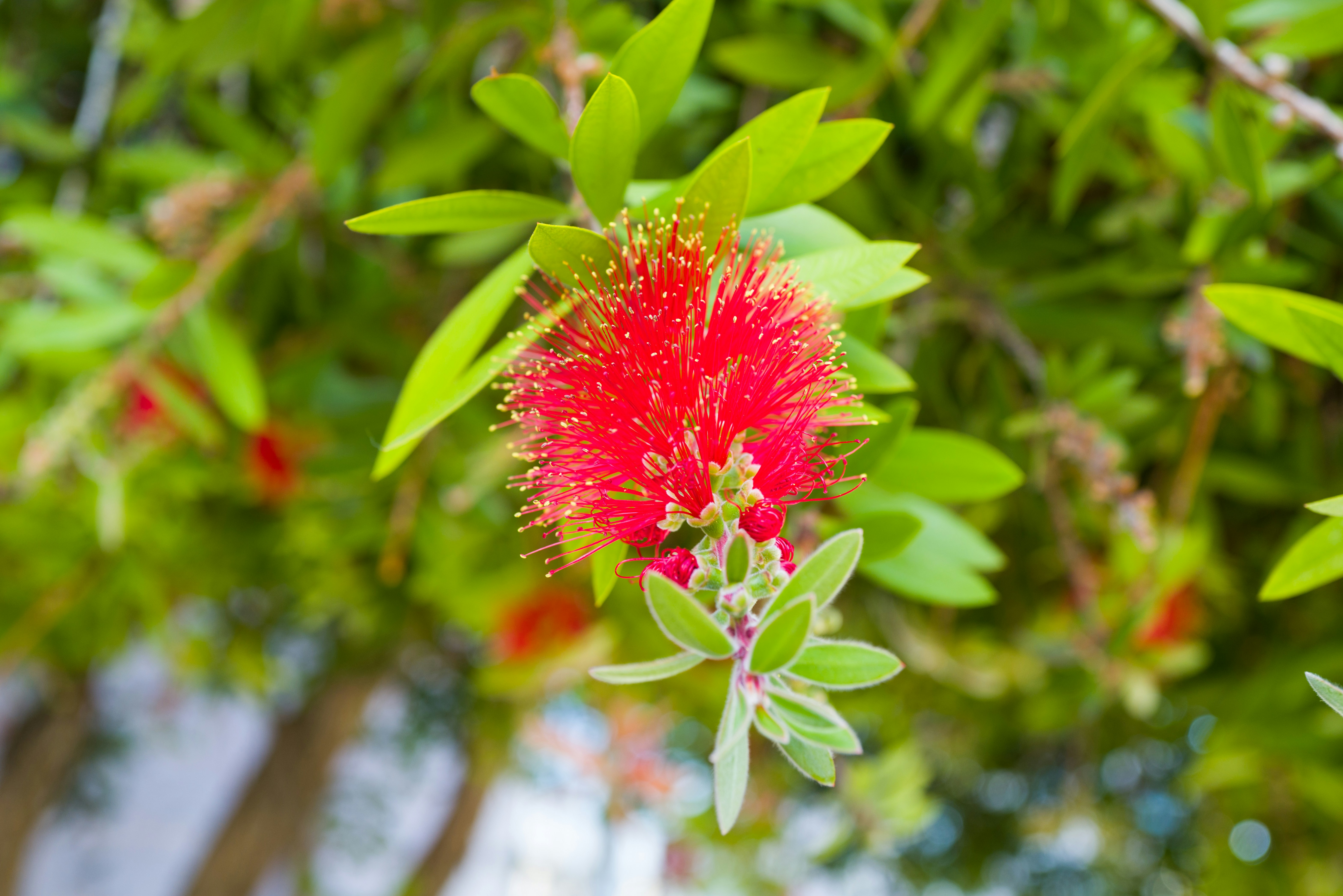 Photo by georgeiermann