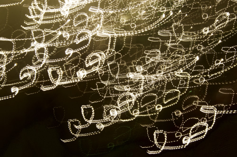 Une photo en noir et blanc d’un bouquet de lumières