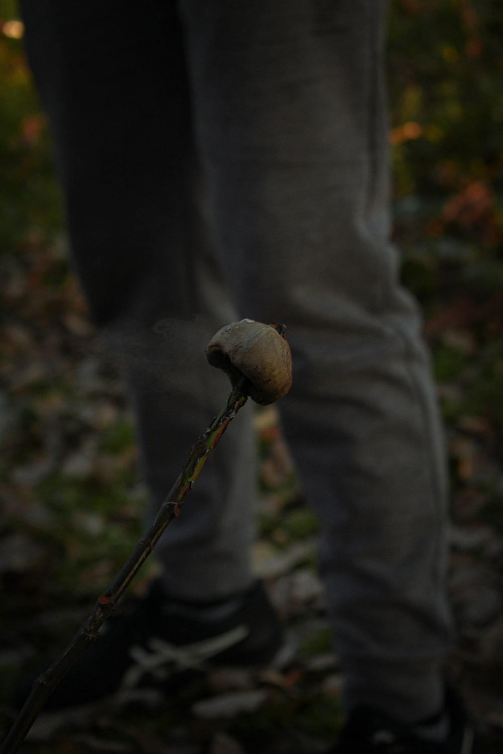 a person holding a stick with something on it