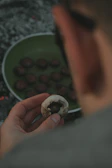 A cozy kitchen scene with a user preparing a mushroom recipe using homegrown fungi.