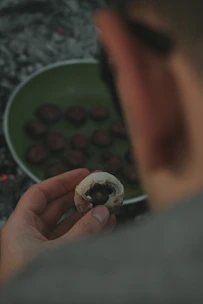 Close-up of hands carefully inspecting a cluster of fresh oyster mushrooms growing on a log.