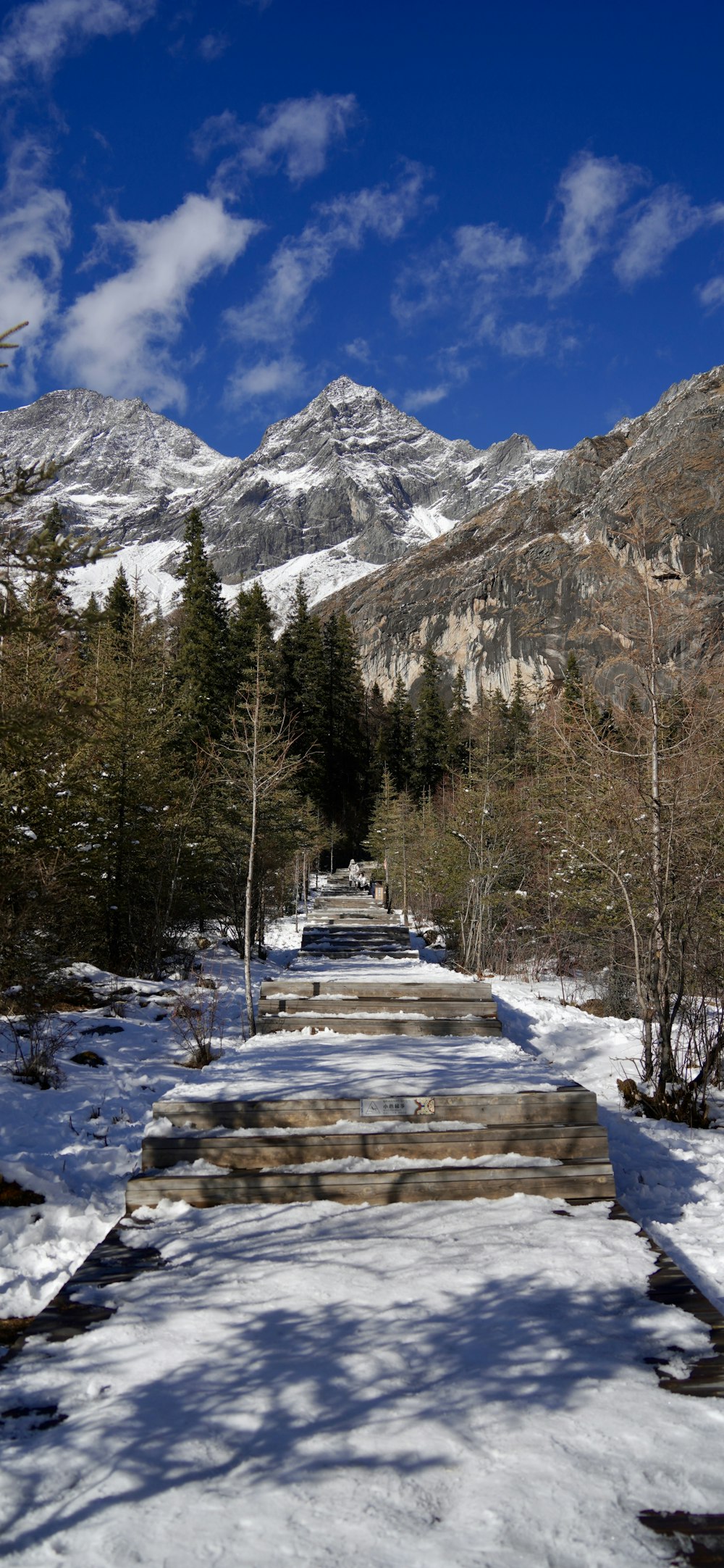 a snow covered path leading to a mountain range