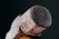 Close-up of a sturdy hammer and a stylish dog collar setting the tone for everyday practical solutions.