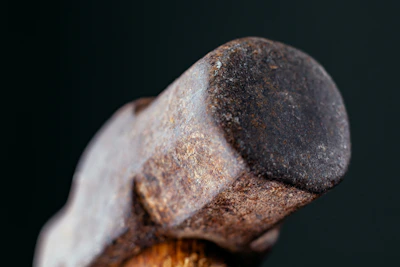 Close-up of a sturdy hammer and a stylish dog collar setting the tone for everyday practical solutions.