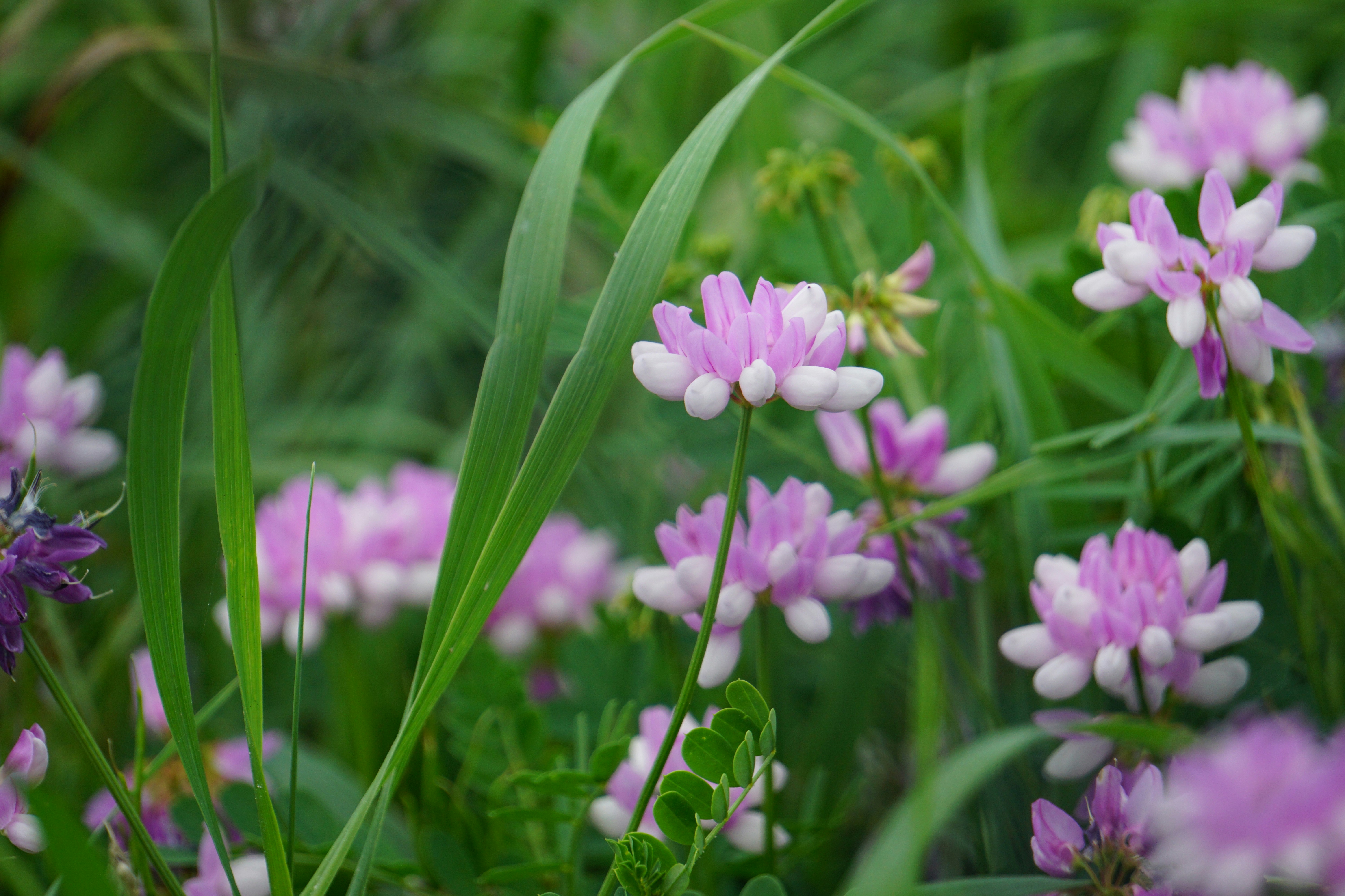 Photo by meredith2020