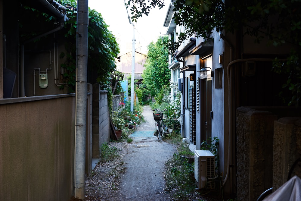 a narrow alley way with lots of trees and plants