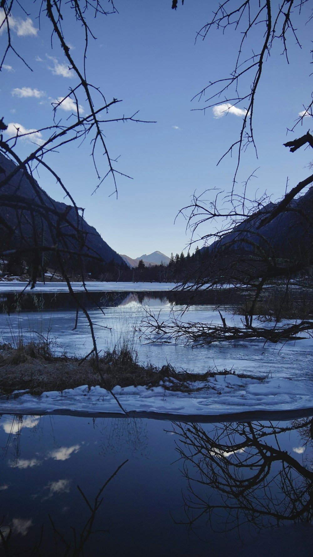 a body of water surrounded by trees and mountains