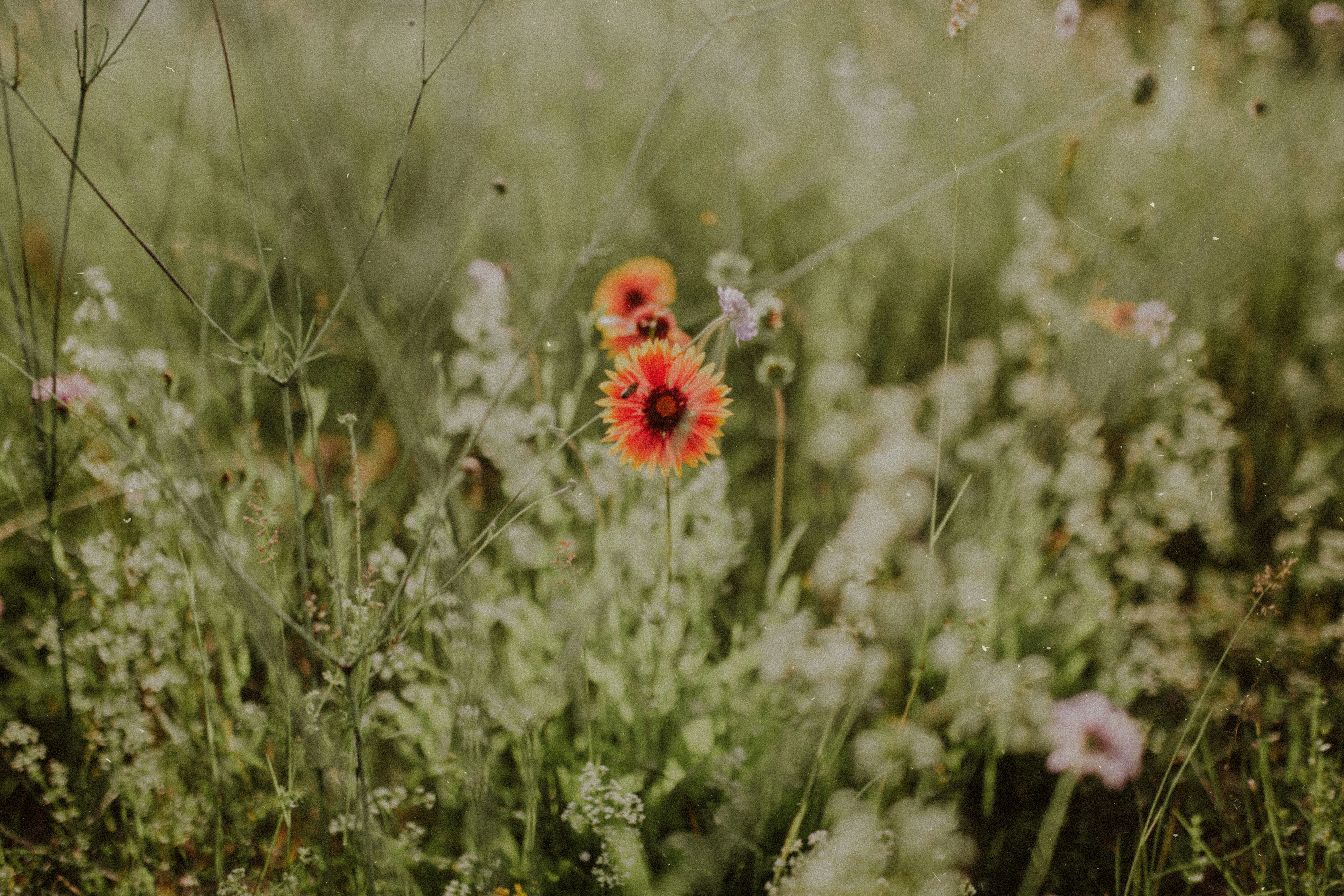 Photo by darkindigo88